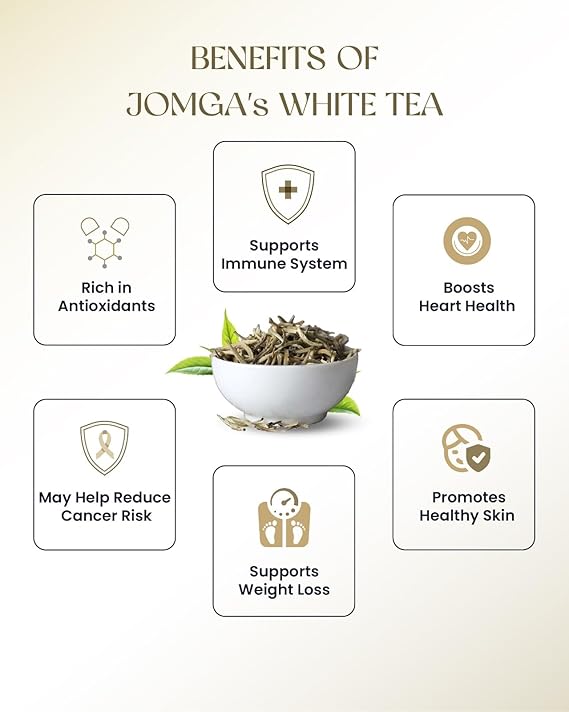 Premium White Tea 4
