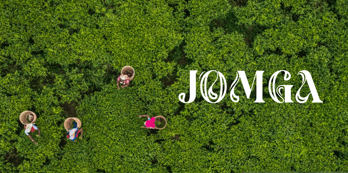 Premium Tea Leaves Brand: What Sets Jomga Apart from the Rest?