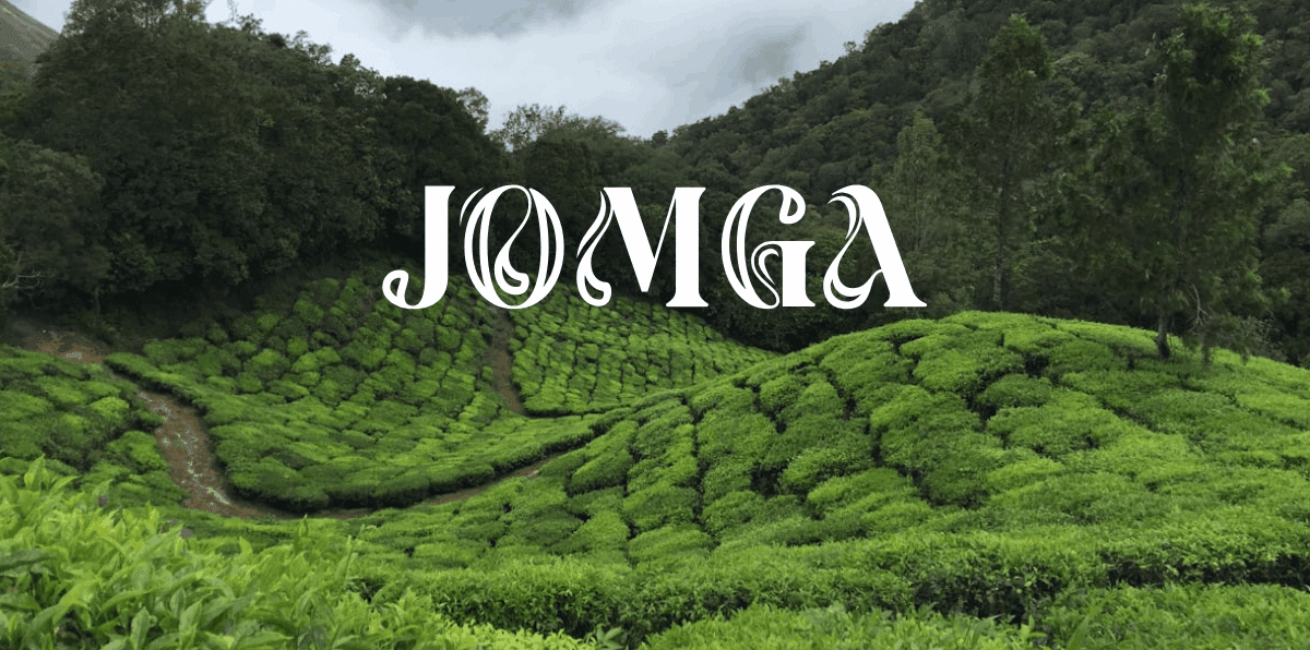 Single-Origin vs Blended Teas: Jomga Premium Tea Leaves Brand Breaks it Down