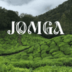 Single-Origin vs Blended Teas: Jomga Premium Tea Leaves Brand Breaks it Down