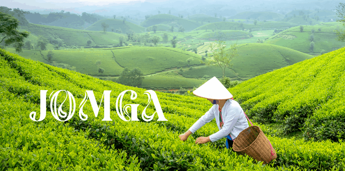 Jomga vs Regular Market Tea Powders: A Flavorful Comparison by a Luxury Tea Leaves Brand