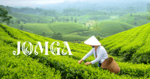 Jomga vs Regular Market Tea Powders: A Flavorful Comparison by a Luxury Tea Leaves Brand