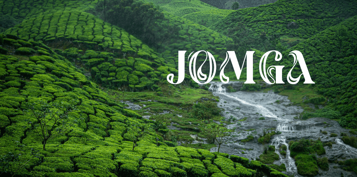 Jomga Signature Tea: What Makes a Premium Tea Leaves Brand Truly Special?
