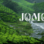 Jomga Signature Tea: What Makes a Premium Tea Leaves Brand Truly Special?