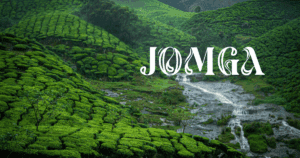 Jomga Signature Tea: What Makes a Premium Tea Leaves Brand Truly Special?