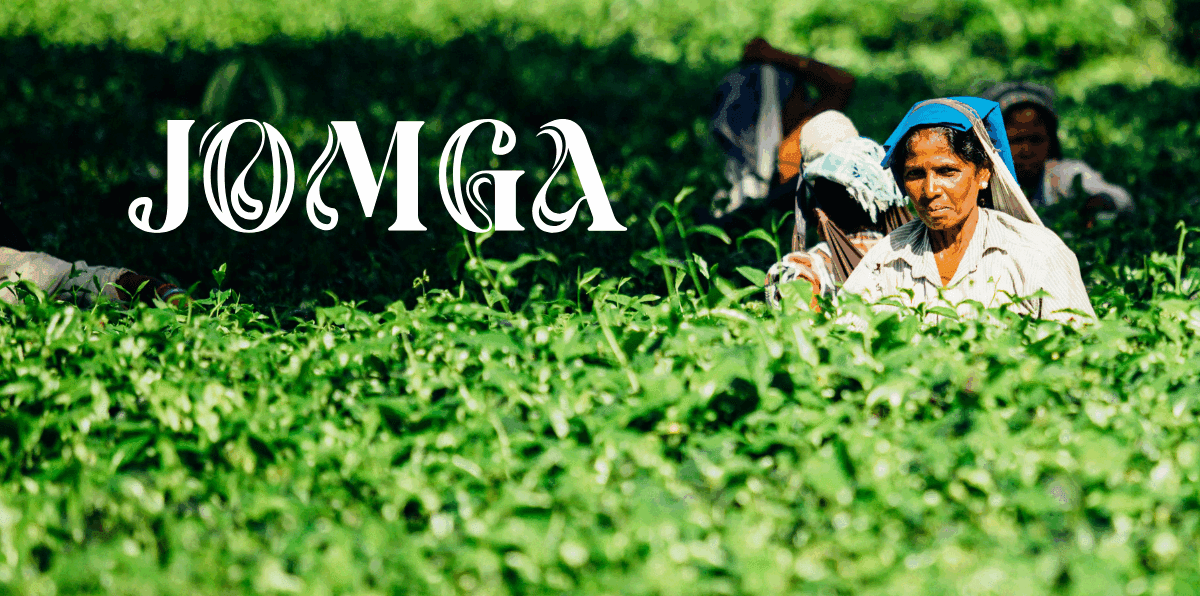 Relax, Refresh, Repeat: The Gut-Soothing Power of This Premium Tea Leaves Brand