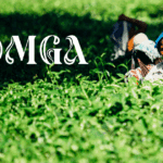 Relax, Refresh, Repeat: The Gut-Soothing Power of This Premium Tea Leaves Brand