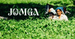 Relax, Refresh, Repeat: The Gut-Soothing Power of This Premium Tea Leaves Brand