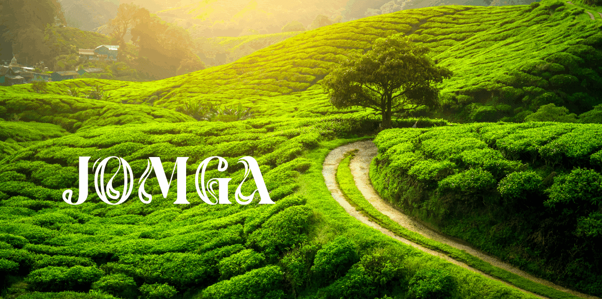 A Taste of Luxury: How Jomga Orthodox Tea Combines Tradition and Modern Elegance