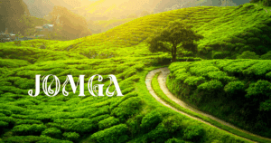 A Taste of Luxury: How Jomga Orthodox Tea Combines Tradition and Modern Elegance