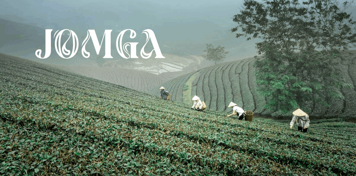 Pairing Perfection: Kerala Snacks That Go Best with Jomga Orthodox Tea