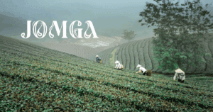 Pairing Perfection: Kerala Snacks That Go Best with Jomga Orthodox Tea