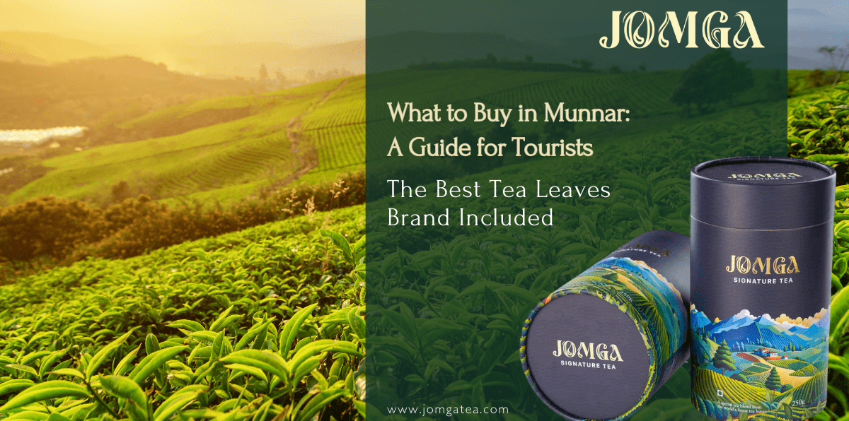 What to Buy in Munnar: A Guide for Tourists The Best Tea Leaves Brand Included