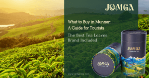 What to Buy in Munnar: A Guide for Tourists The Best Tea Leaves Brand Included