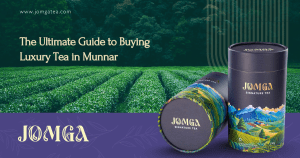 The Ultimate Guide to Buying Luxury Tea in Munnar