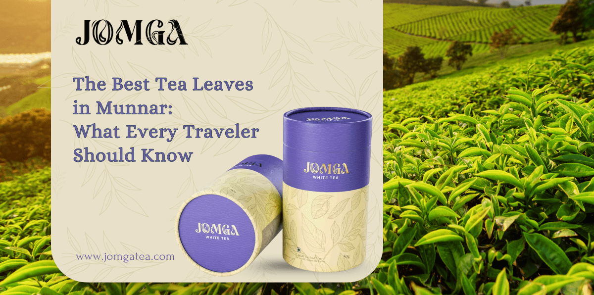 The Best Tea Leaves in Munnar: What Every Traveler Should Know