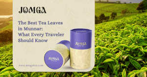 The Best Tea Leaves in Munnar: What Every Traveler Should Know