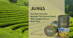 Tourists’ Favorite Munnar Tea Leaves Brand: Why Jomga Tea is a Must-Buy