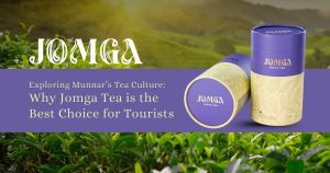 Exploring Munnar’s Tea Culture: Why Jomga Tea is the Best Choice for Tourists