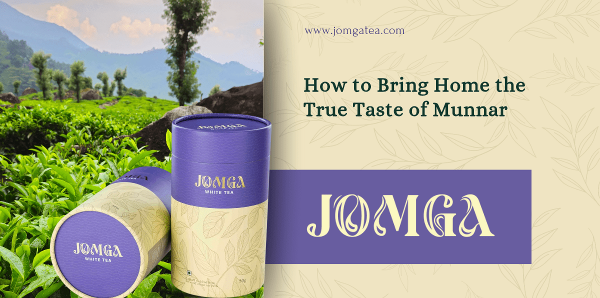 How to Bring Home the True Taste of Munnar