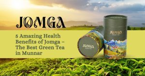 5 Amazing Health Benefits of Jomga – The Best Green Tea in Munnar