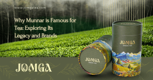 Why Munnar is Famous for Tea : Exploring Its Legacy and Brands
