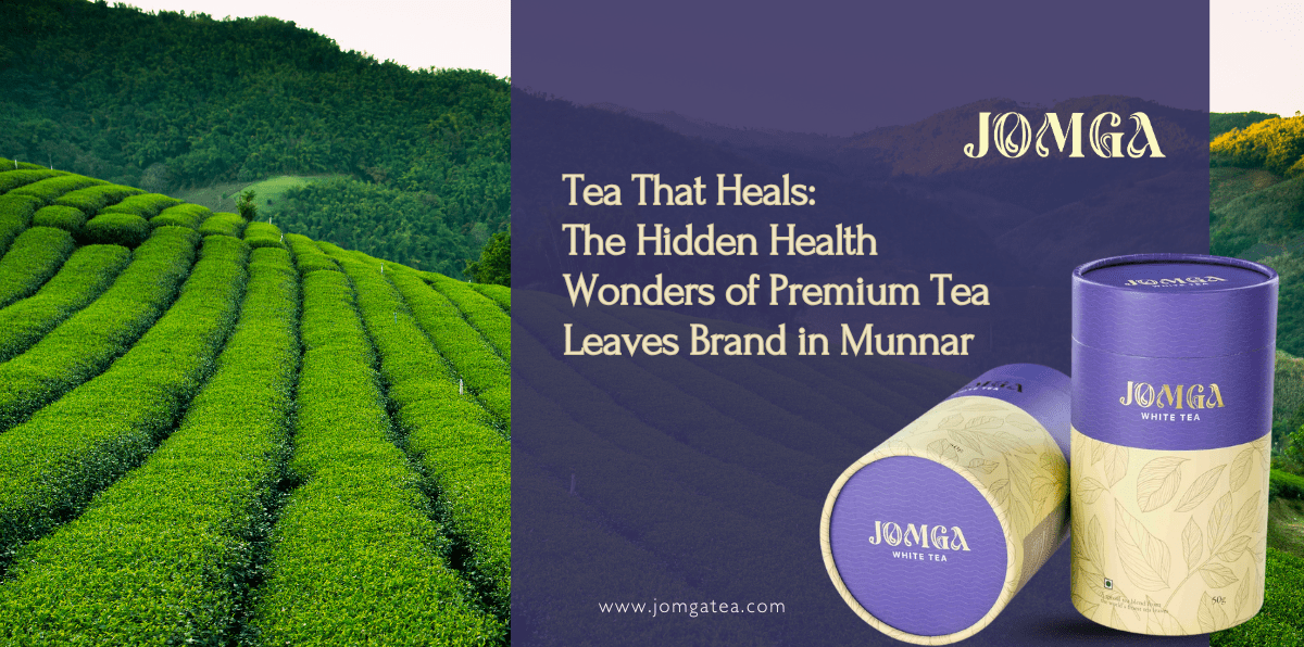 Tea That Heals: The Hidden Health Wonders of Premium Tea Leaves Brand in Munnar
