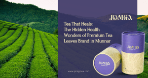 Tea That Heals: The Hidden Health Wonders of Premium Tea Leaves Brand in Munnar