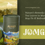 Nature’s Remedy: How Premium Tea Leaves in Munnar Help You Stay Fit and Refreshed
