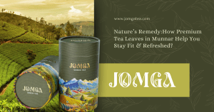 Nature’s Remedy: How Premium Tea Leaves in Munnar Help You Stay Fit and Refreshed