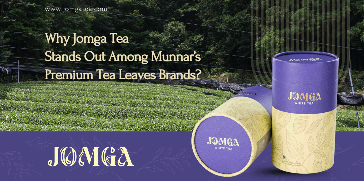 Why Jomga Tea Stands Out Among Munnar’s Premium Tea Leaves Brands?