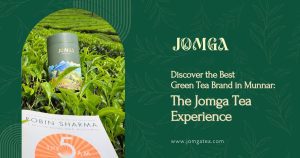 Discover the Best Green Tea Brand in Munnar: The Jomga Tea Experience