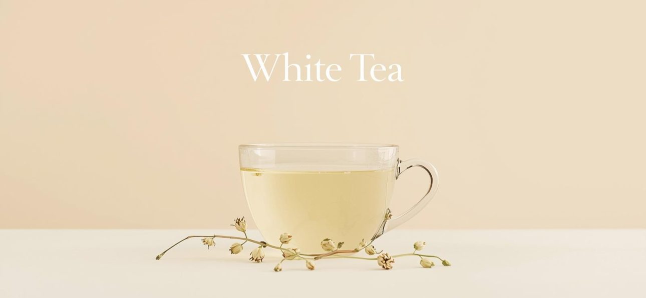 The Secret Behind Kerala’s Famous Munnar White Tea