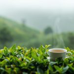 which tea powder is best for health