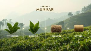 How is Orthodox tea from Munnar processed?